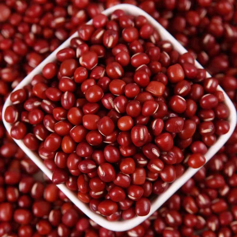 POROTO ROJO AZUKI 500G SUPERCHINA